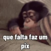 Aleatorias engraçadas 15