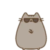 Gato bailando 12