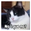 No ¿que no?