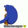 todos los sapos