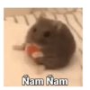 🐹Hamsters🐹 7