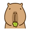 (⁠ᵔ⁠ᴥ⁠ᵔ⁠) Capibara Animado 🦫 12