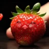 ᱙᱙   ˳   Frutas AI   ׅ   𐀴᷼𐀴 17