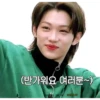 Lee Felix Stray Kids 25