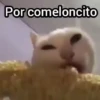 Por comeloncito