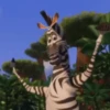Madagascar GIFs 16