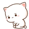 Panda 15