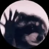 Animalitos de Tiktok 🤑😾 15