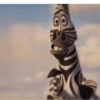 Madagascar GIFs 17