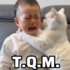 🐱 Gatitos 🐱💛 6