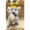 🐹Hamsters🐹 15