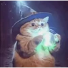 🐱 Cheeseball | The Wizard Cat 8