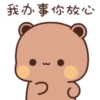 Bubuyier 22