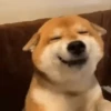😄 Memes Random Tiktok 😄 12