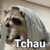 MEMES DIVERTIDO 10