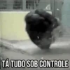 GIFs Pets Fofos Memes 🐾 7