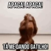 GIFs Pets Fofos Memes 🐾 10