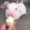 GIFs Bixins com Calor 2 🥵 16