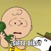 . ¿SIETE DÍAS?