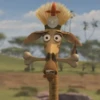 Madagascar GIFs 24