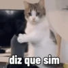 Aleatorias engraçadas 3