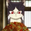 Cat anime 14
