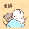 Dudu bubu 29