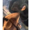 Monky amigos oficial 🐵 25