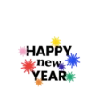 Año Nuevo 11