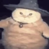 🐱 Cheeseball | The Wizard Cat 10
