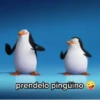prendelo pingüino +