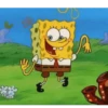 Bob 7