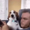 Cachorro Animado  6