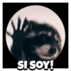 🎶Pedro, Pedro🦝Mapache🎶 10
