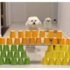 DogsFOFOS 10