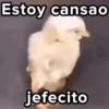Estoy cansao jefecito