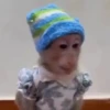 Monos y changuitos 10 🐒🦍🦧 17
