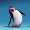 Préndelo pingüino 🐧🔥🐧 10