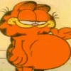 Garfield 8