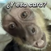 ¿Y esa cara?