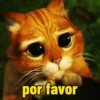 por favor