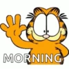 Garfield 5