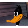 El pato lucas 10
