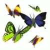 MARIPOSAS ANIMADAS 9