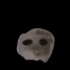 Animalitos de Tiktok 🤑😾 14