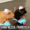 GIFs Pets Fofos Memes 🐾 5