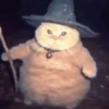 🐱 Cheeseball | The Wizard Cat 13