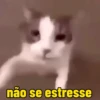 Aleatorias engraçadas 14