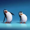Préndelo pingüino bailando 🐧🎶 8