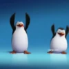 Préndelo pingüino bailando 🐧🎶 12